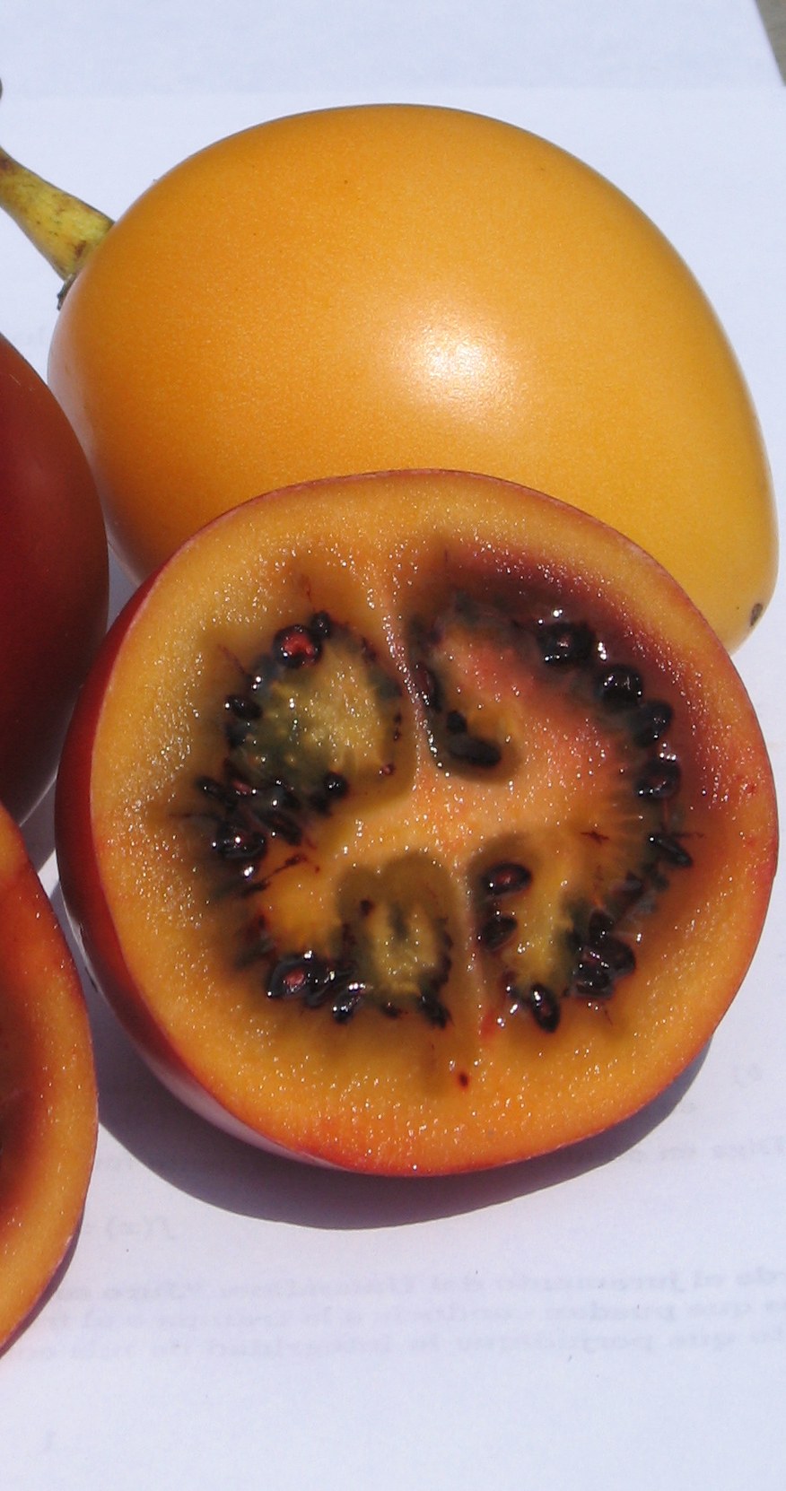 Tomate de Árbol (Naranja / Amarillo)